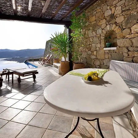 Willa Mykonian Dianthus *