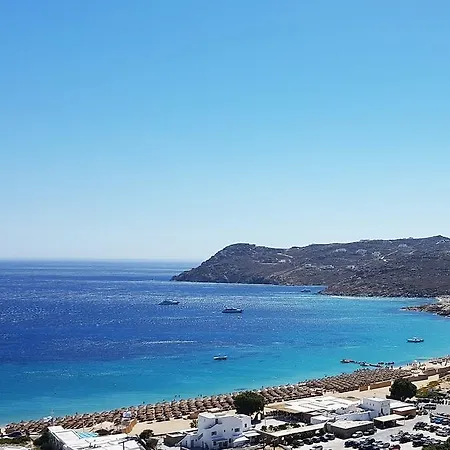 Willa Mykonian Dianthus