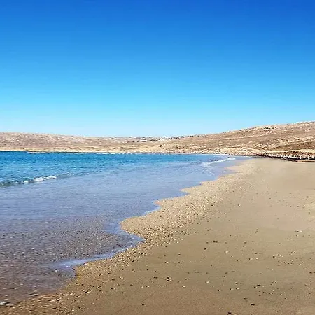 Mykonian Dianthus Elia (Mykonos)